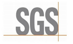 SGS Report B
